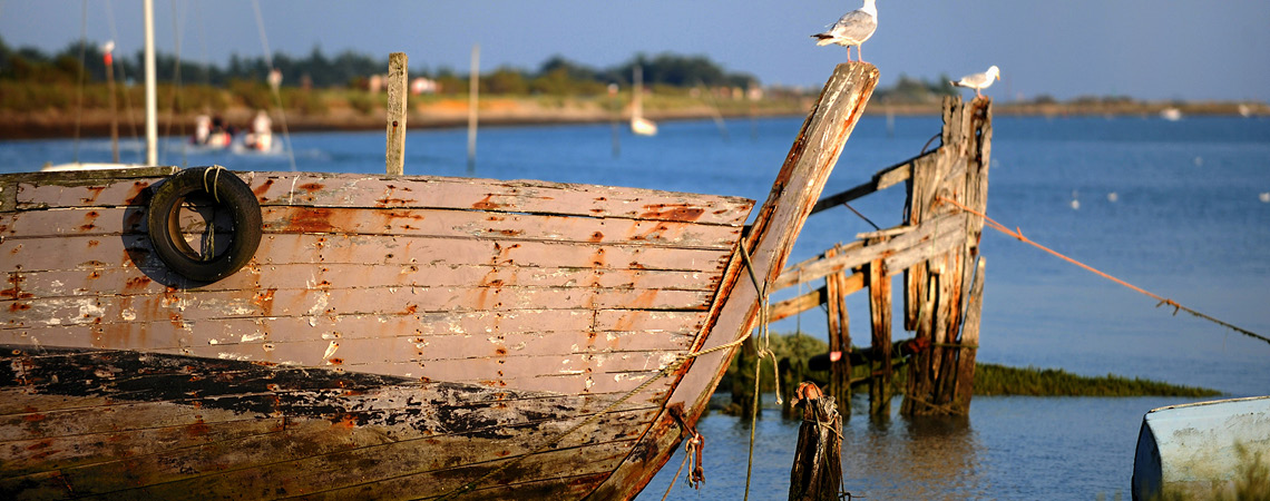 Que faire à Brem sur Mer ©A.Lamoureux