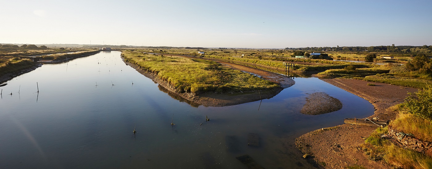 Que faire à Brem sur Mer - Marais de la Gachère ©A.Lamoureux