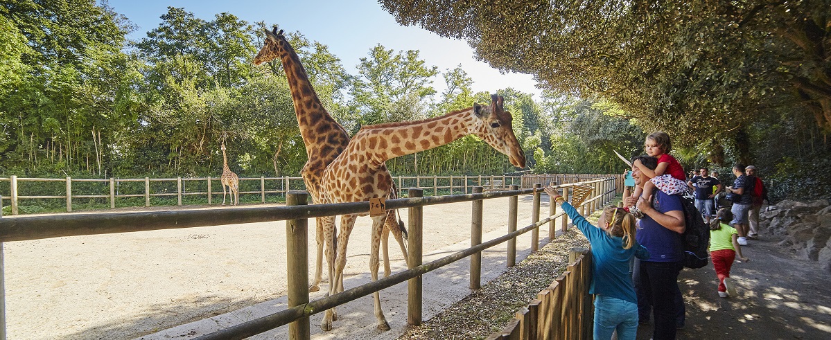 Top 5 activités Vendée - Zoo des Sables ©A LAMOUREUX